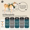 bluzelle Dog Harness for Small Dogs, Reflective Chest Harness with