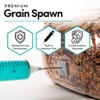 Millet & Milo Grain Spawn | 2-Pack (5 lb Each)