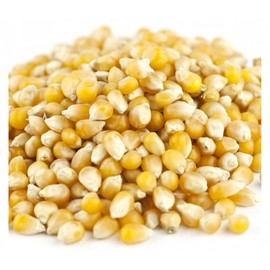 Unpopped Popcorn Kernels (Tiny Tender, 6 LB)
