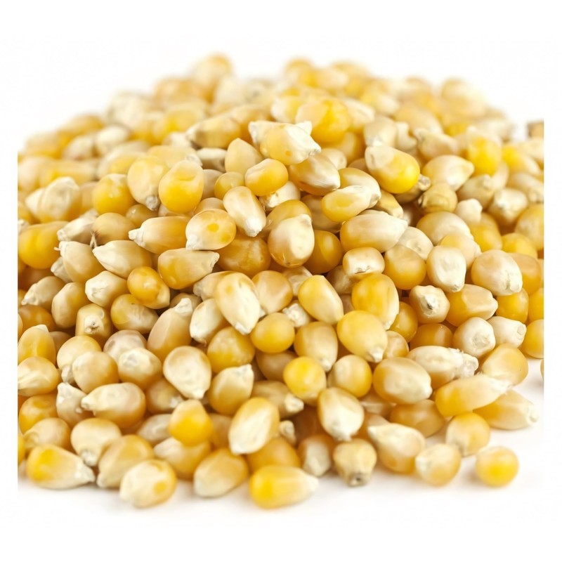 Unpopped Popcorn Kernels (Tiny Tender, 6 LB)