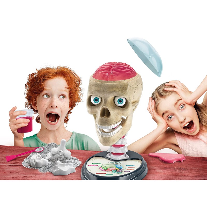 Clementoni 61520 Science&Play Crazy Anatomy Scientific Kit for Children-Ages 8