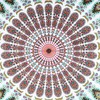 Indian hippie Bohemian psychedelic peacock mandala wall hanging bedding tapestry