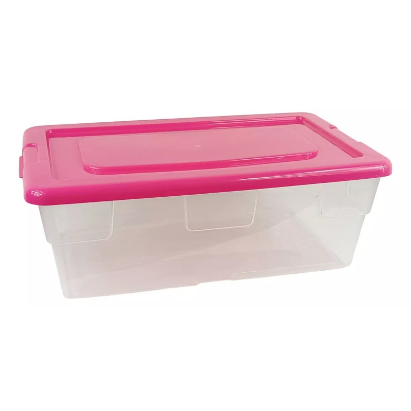 Boris Caja Organizadora De Plastico 34.7cm De Largo Almacenamiento