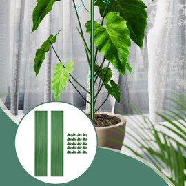 Genérico Estacas De Soporte Plantas Abrazaderas Reutilizables y Flexibles - Tutores De Soporte para Plantas con Pinzas,para Flores De Patio, Alféizar, Balcón, Bonsái, Tomates, Pimientos Y Fresas