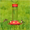 Perky Pet 209B Glass Hummingbird Feeder, 30 Oz, Red (Older