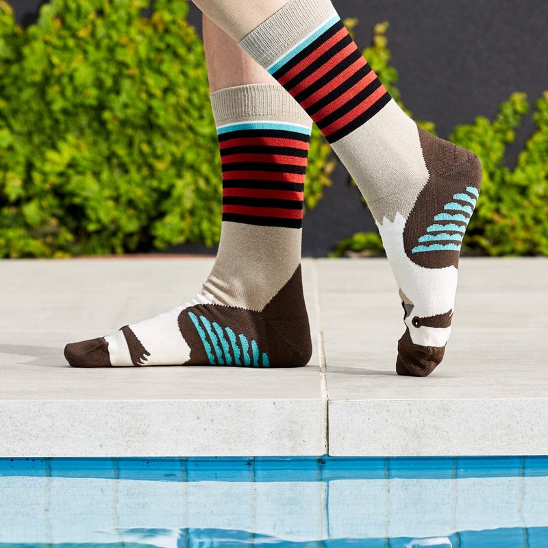 Wilson Payne Down Under Socks - Kookaburra, 8-11