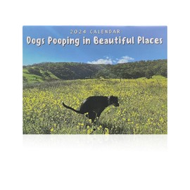 1 Piece Dog Poop Calendar 2025, Dog Poop Calendar 2025 In Beautiful Places, Funny Dog Wall Calendar, Perfect For Funny Wall Art, Humorous Pranks, Creative Gifts