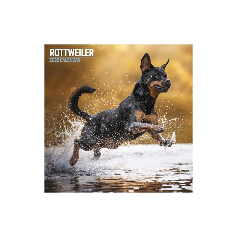 Rottweiler Traditional Calendar 2025