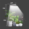 bodkar Plant Grow Light, Plant Lamp for Indoor Plants Growing,