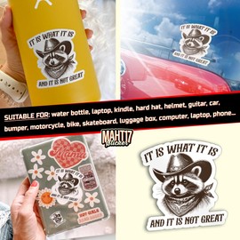 It is What It is Sticker and It is Not Great, Funny Raccoon Meme Sticker, Vintage Raccoon Sticker 4" Waterproof Die-Cut Vinyl Sticker for Kindle Laptop Water Bottles, Phone Decal Gifts 4 Inches