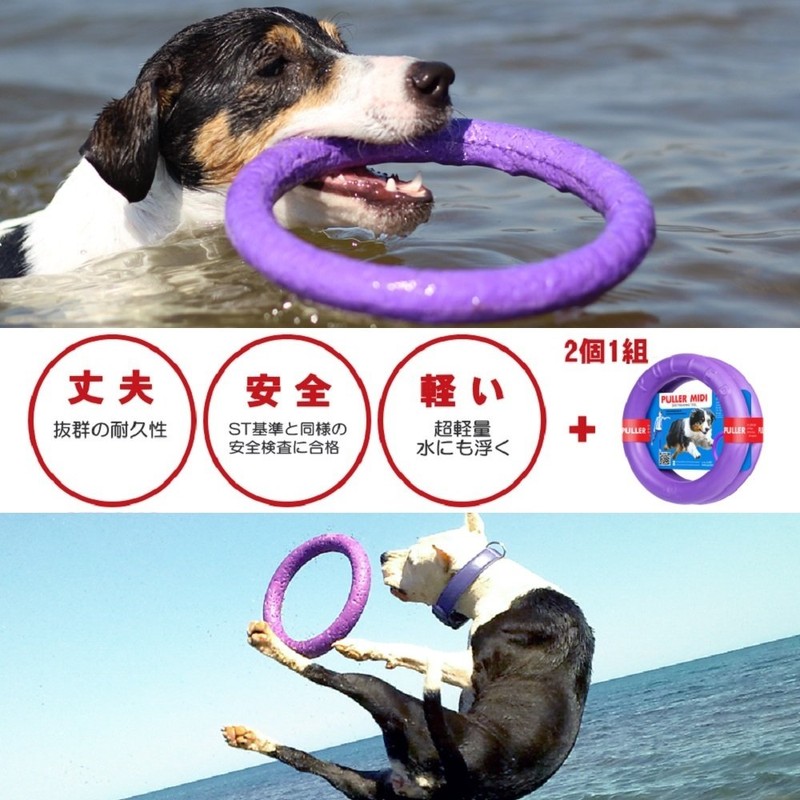 PULLER Midi Puller for Small and Medium Dogs