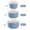 3-Piece Wheat Straw Food Storage Bowl Set for Meals –