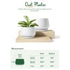 LE TAUCI Ceramic Plant Pots, Set of 2, 10 +