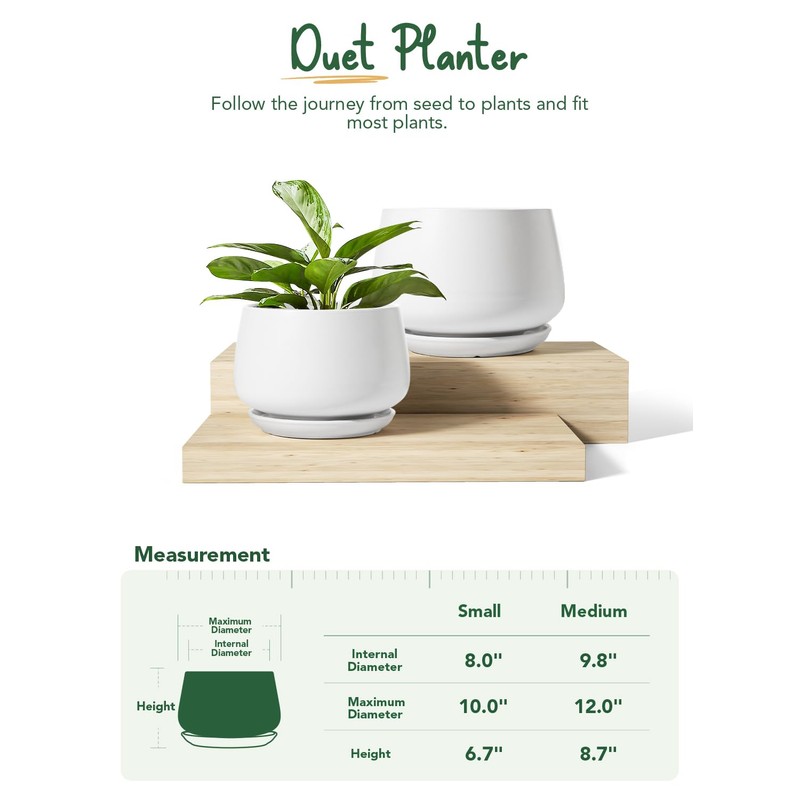 LE TAUCI Ceramic Plant Pots, Set of 2, 10 +