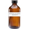 Wild Herb Eucalyptus Pure Essential Oil (16 OZ)