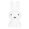 Mr Maria MM-009M Bundle Of Light Cordless LED Light Miffy