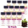 LorAnn Mint Chocolate Chip Flavor, 1 dram bottle, 12 pack