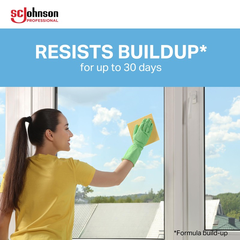 SC Johnson Professional Windex Glass and More Multi-Surface Cleaner, Windex