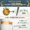 (2025 Model) Sturdy and Stylish Stainless Steel Kitchen Clip Bag