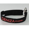 INVENTOINVENTOS.COM Collar Personalizado Resistentes Mega Forzza. Ideal para pasear Perros