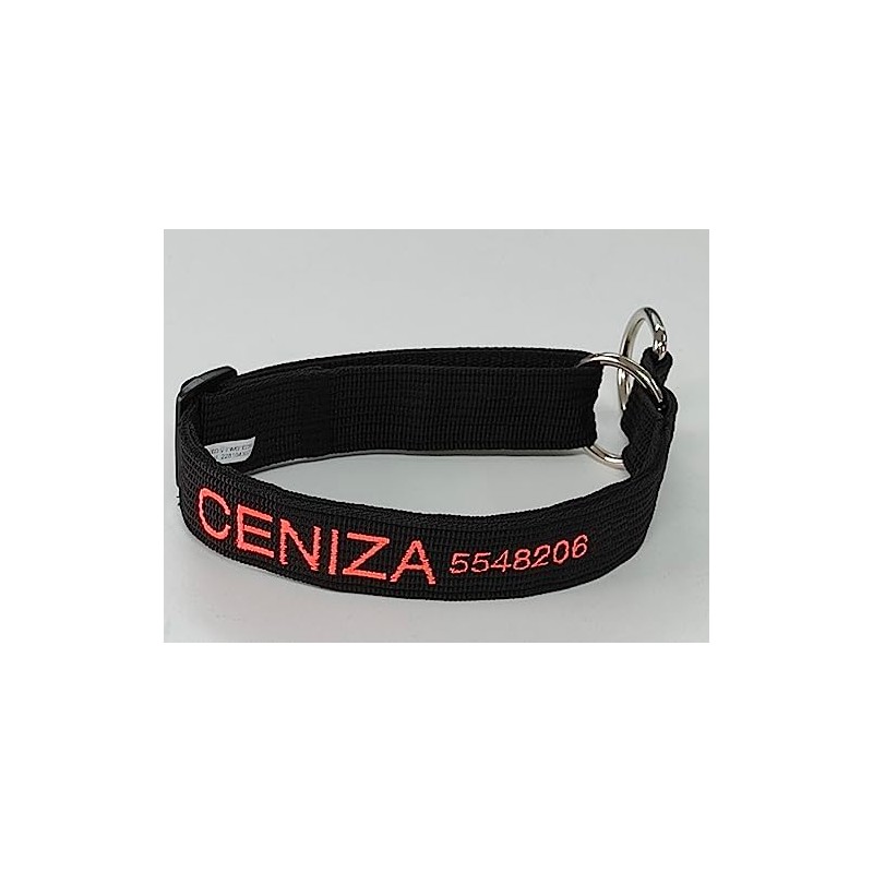 INVENTOINVENTOS.COM Collar Personalizado Resistentes Mega Forzza. Ideal para pasear Perros