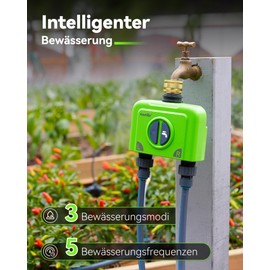 RAINPOINT Irrigation Computer WLAN 2 Outputs with Antenna Gateway and Brass Inlet Smart Irrigation Control with APP/Voice Control IP65 Garden Automatic Irrigation System, 2 x 6 Schedules