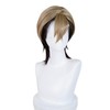 Aicos Zanka Cosplay Wig Costume Short Dark Brown Wig Role
