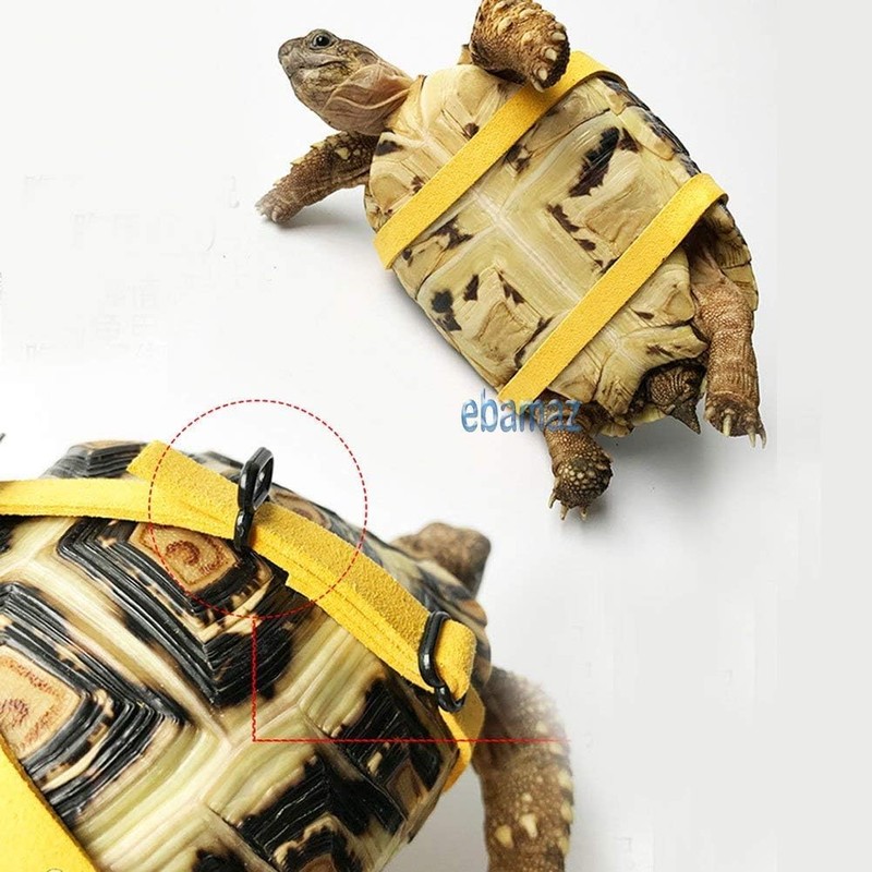 Adjustable Turtle Harness Leashes Soft Leather Harness Strap for Tortoise