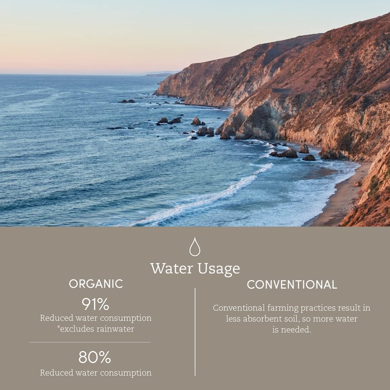 Coyuchi Organic Crinkled Percale Sheet Set, Alpine White (Twin)