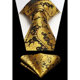HISDERN Men's Tie Handkerchief Flower Paisley Wedding Tie & Pocket Square Set, gold