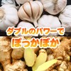 Lipsa C-162-2 Garlic + Ginger, Approx. 3 Month Supply x