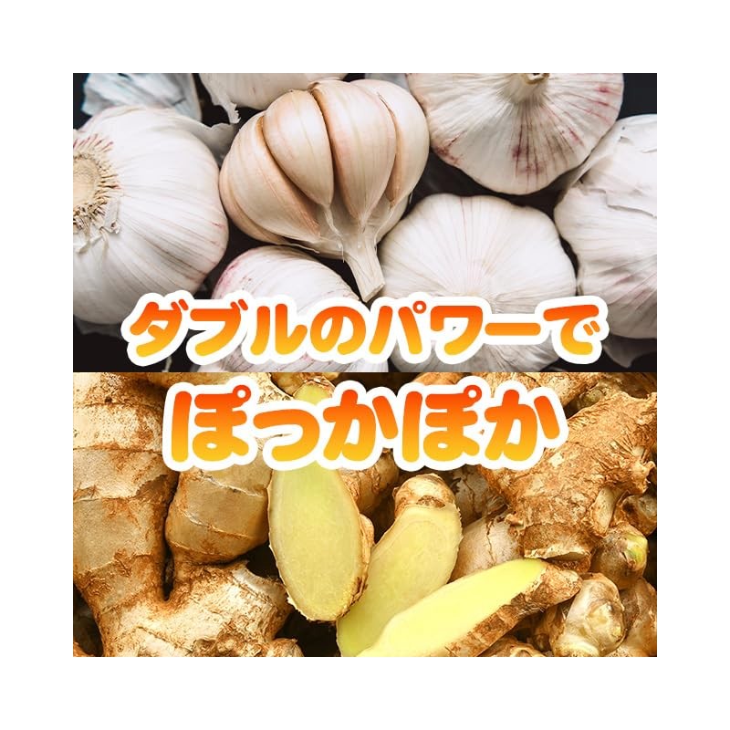 Lipsa C-162-2 Garlic + Ginger, Approx. 3 Month Supply x