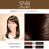 L'Oreal Paris Excellence Duo Creme Hair Dye