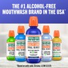 TheraBreath Healthy Gums Oral Rinse, Antigingivitis, Clean Mint Flavor, Dentist