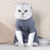 Cat Recovery Suit 4 Legged Prevents Hair Loss Highly Elastic
