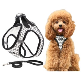 JdotMIN No Pull Cat and Dog Harness and Leash Set, for Extra Small to Small Breed, Lightweight Breathable Reflective Strips, Walking Escape Proof Soft Kitten Puppy Harness, Easy Control, Step In Pet Vest Jacket (White, S)