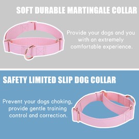 Soft Leather Martingale Dog Collar - Adjustable Rose Gold Limited Slip Collars [Easy to Clean], Stylish Durable Heavy Duty Nylon No Pull Training Collar for Small Medium Large Dogs L Pink