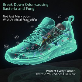 DUNGGLE Shoe Deodorizer Rechargeable Ozone Tech Eliminates Odors in All Footwear, Auto Shut-Off Durable Dryer-Style Freshener (Black)