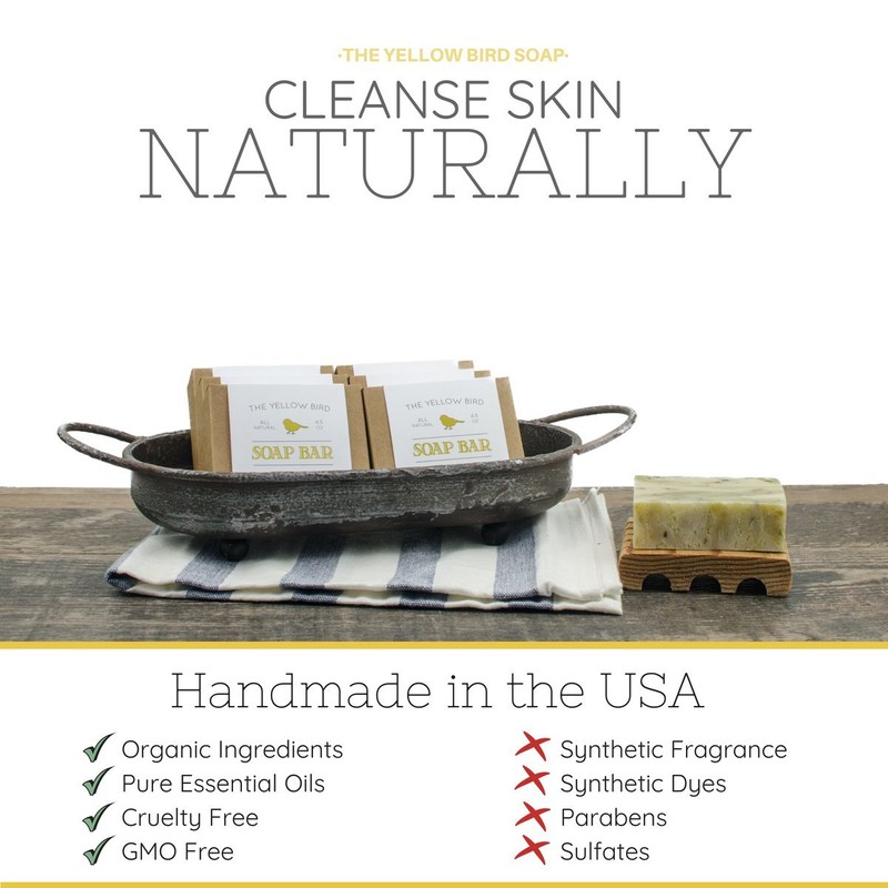 Charcoal Soap (2 Bar Pack) Natural Body & Face Detox