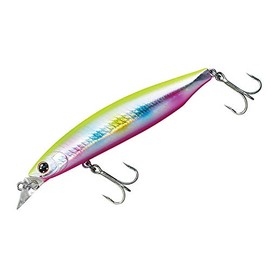 Daiwa Shoreline Shiner Z Vertis R 98F