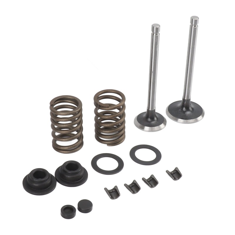 Microtiller Valve Parts Iron Wear Resistant Anti Corrosion Spring Washer