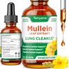 Mullein Leaf Extract for Lungs