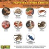 Exo Terra Glass Terrarium Kit, for Reptiles and Amphibians, Nano,