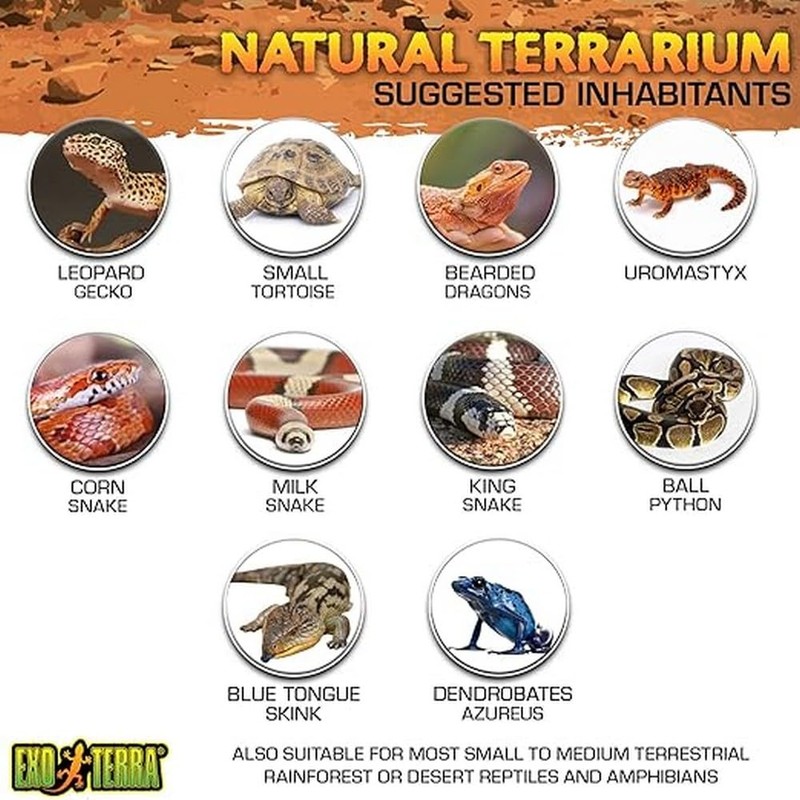 Exo Terra Glass Terrarium Kit, for Reptiles and Amphibians, Nano,