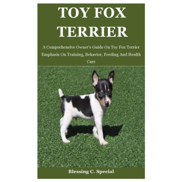 Toy Fox Terrier: A Comprehensive Owner’s Guide On Toy Fox