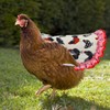 ABONDEVER 6pcs Hen Saddle Apron Waterproof Chicken Saddle Hen Apron