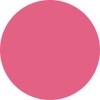 Preanfa PDU-M579 PDU-M579 Color Gel Muse Macheri Pink 579 0.1