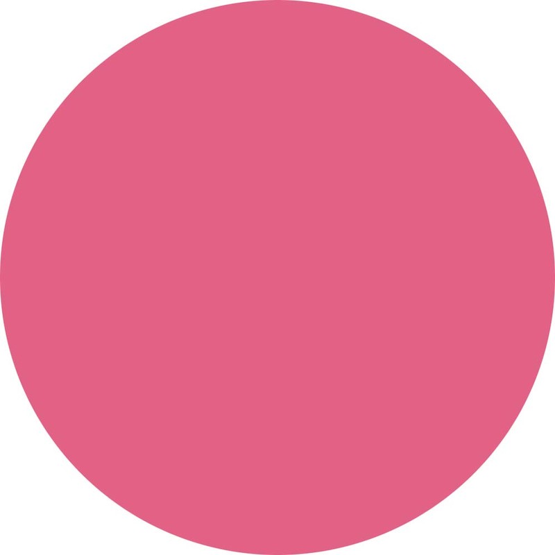 Preanfa PDU-M579 PDU-M579 Color Gel Muse Macheri Pink 579 0.1