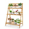COSTWAY Bamboo Plant Stand, Foldable Multifunctional Flower Display Ladder Shelf,