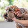 Wahl Thinning Scissors for Dogs, Orange/Silver